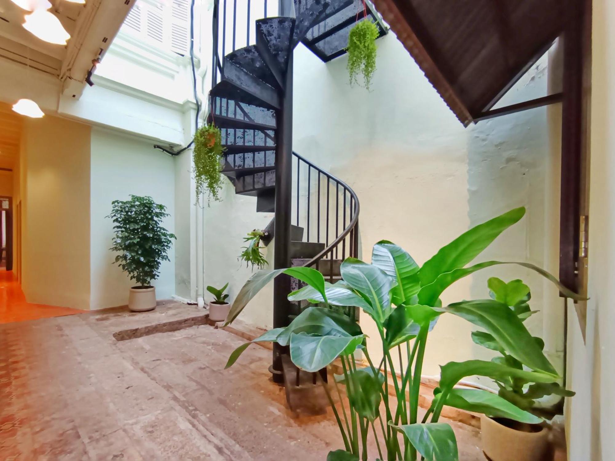 Guest house Pine Muntri
